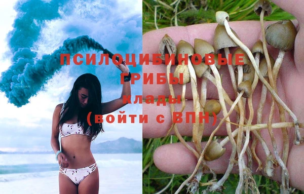 гашик Бронницы