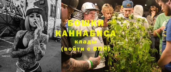 гашик Бронницы