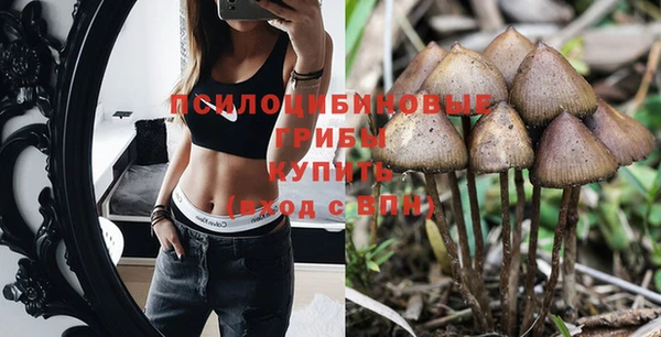 гашик Бронницы