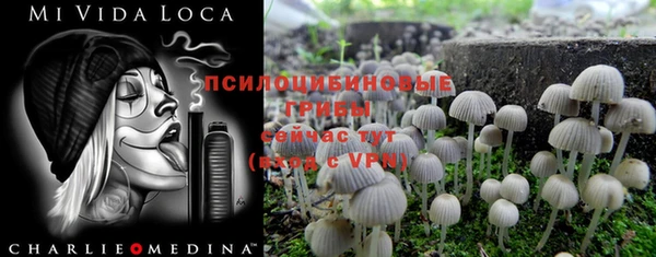 гашик Бронницы