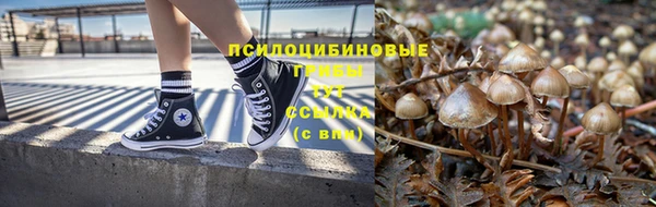 гашик Бронницы