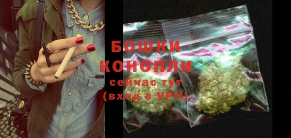дурь Бородино