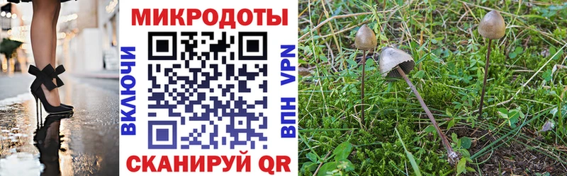 Псилоцибиновые грибы MAGIC MUSHROOMS  где продают   Минеральные Воды 